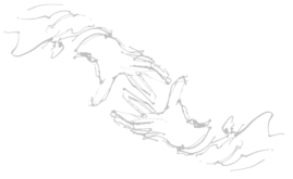 praktijk voor lichaamsgerichte psychotherapie